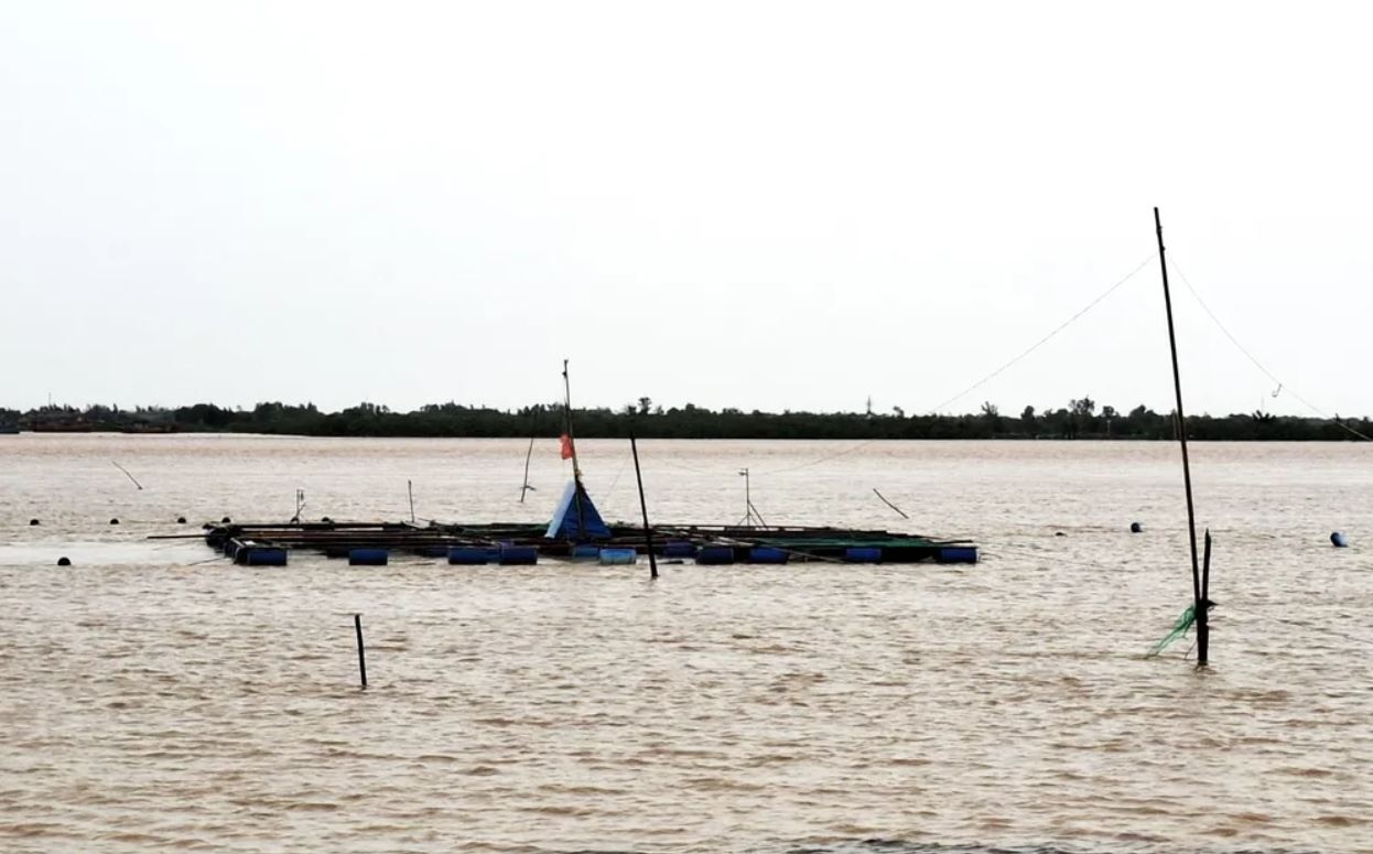 Mua lu Trung bao Wutip anh 5