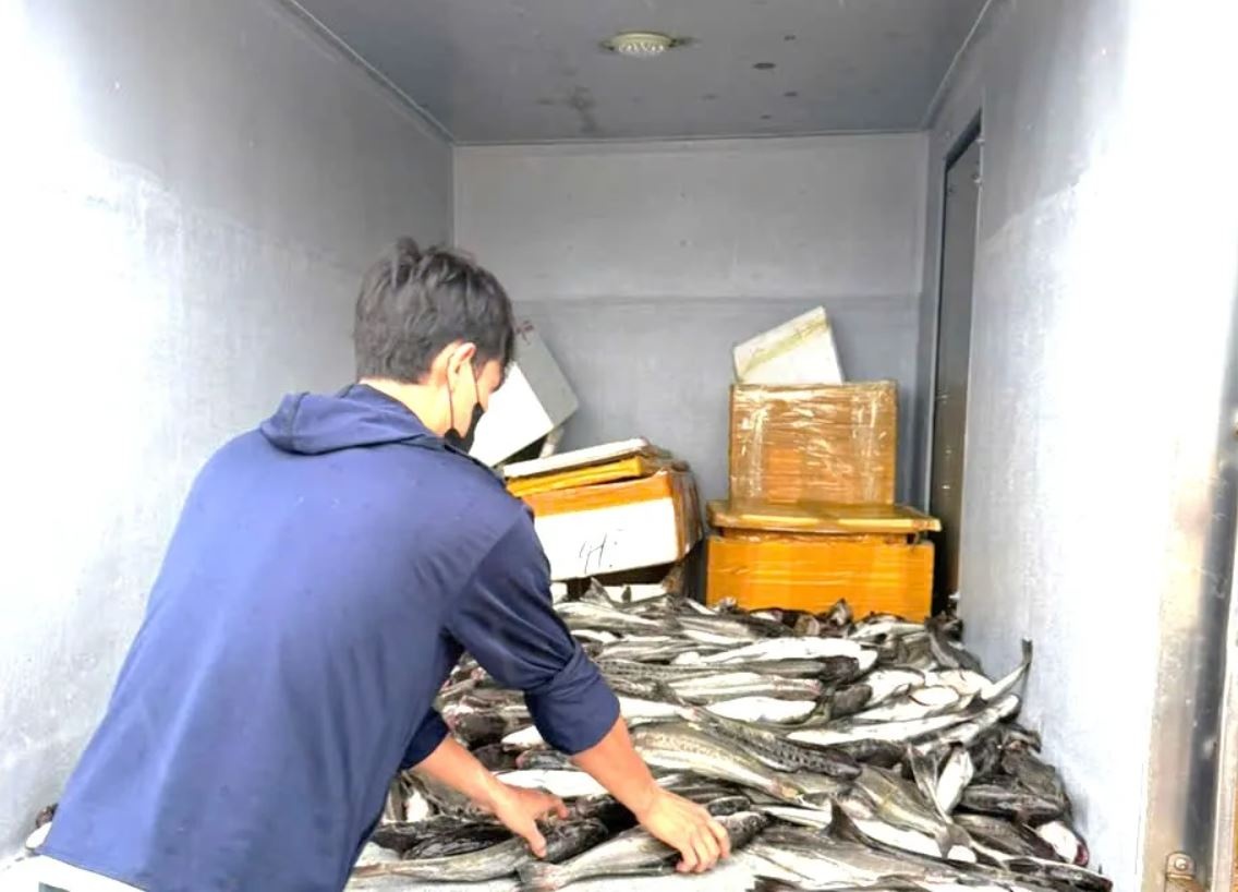 Mua lu Trung bao Wutip anh 6