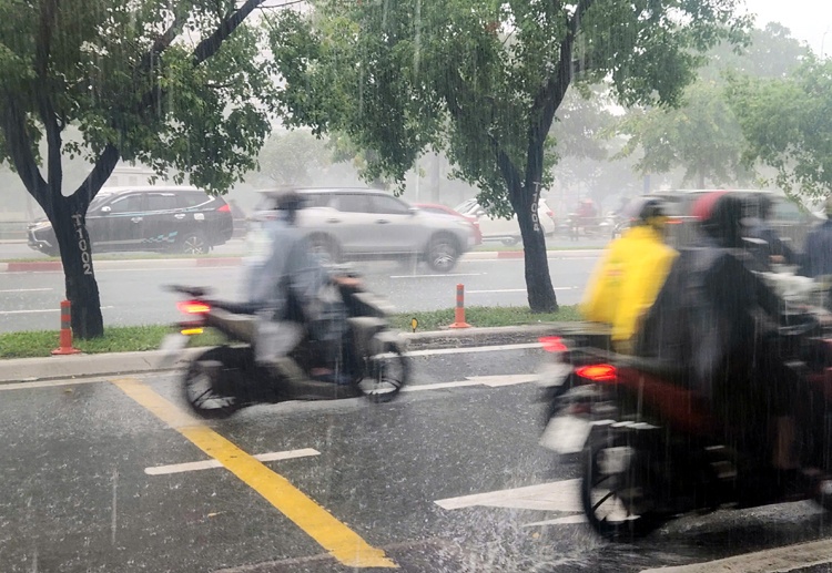 TP.HCM Sai Gon mua ngap anh 6
