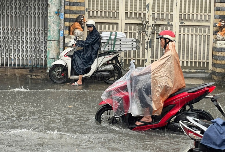 TP.HCM Sai Gon mua ngap anh 7