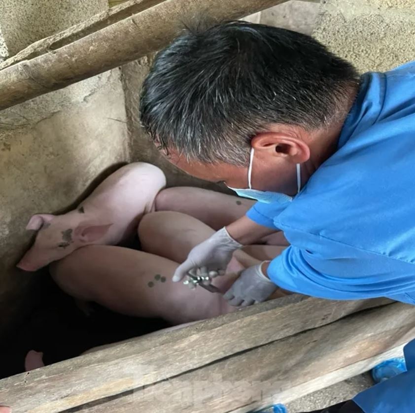 Dich ta lon Lang Son anh 1