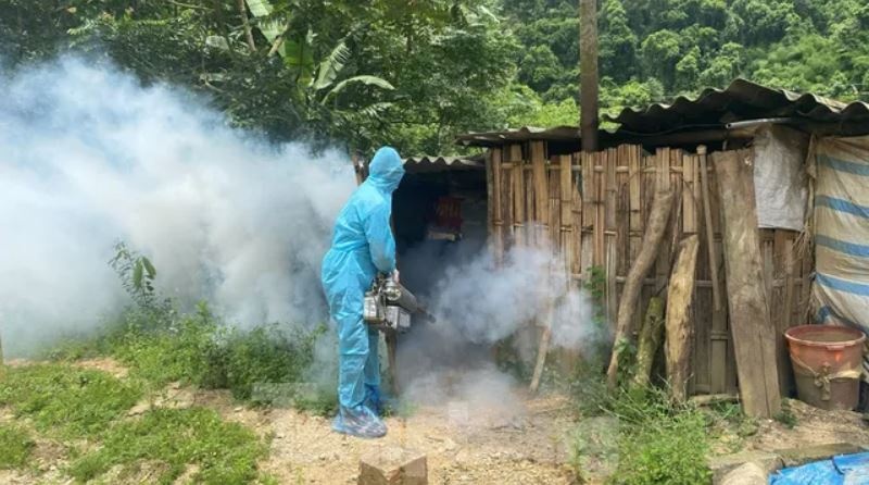 Cong bo dich ta lon chau Phi tai tinh Lang Son hinh anh