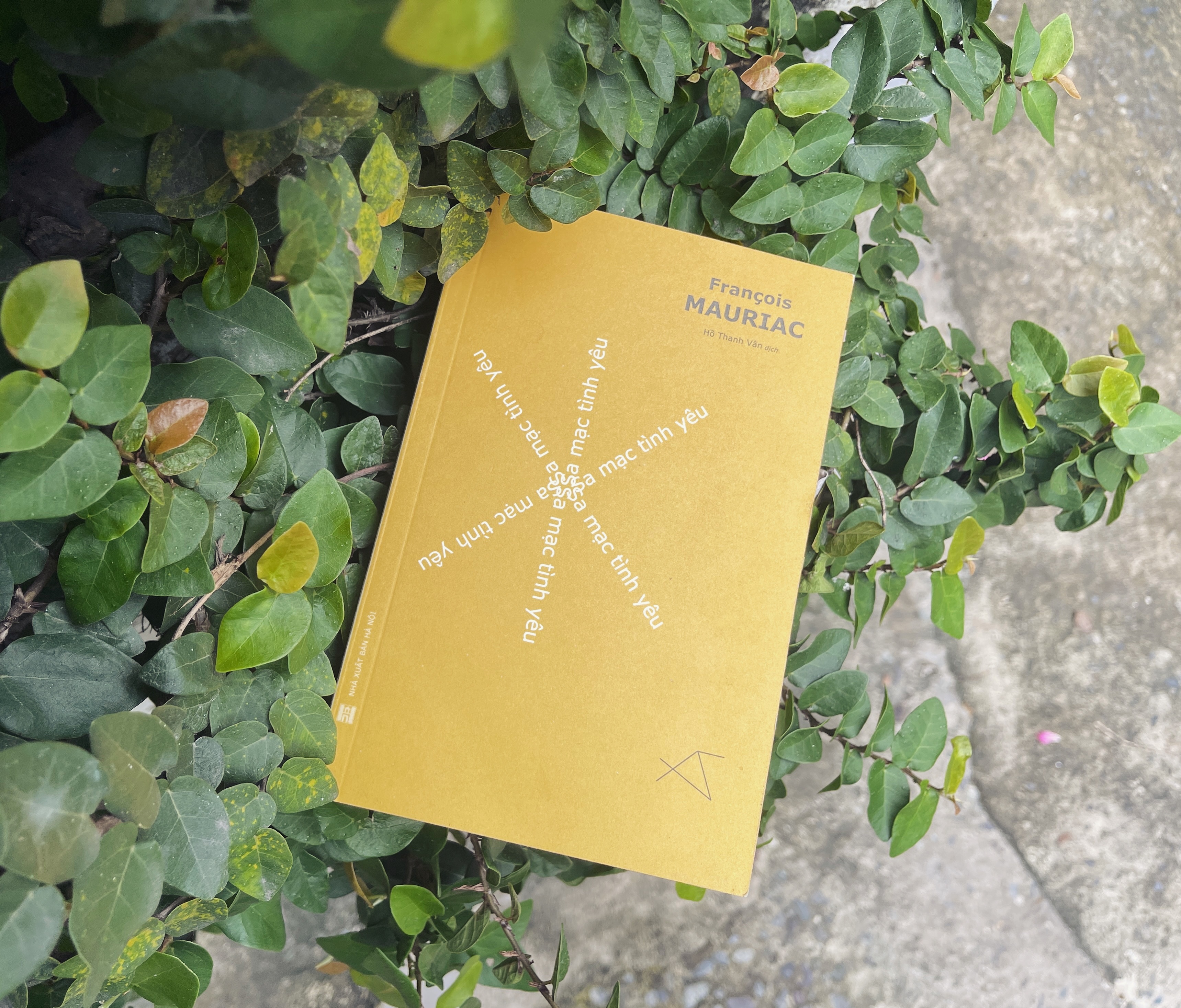 Sa mac tinh yeu anh 1