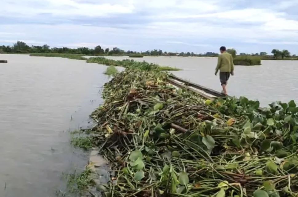 Nuoi vit chet Quang Tri anh 1