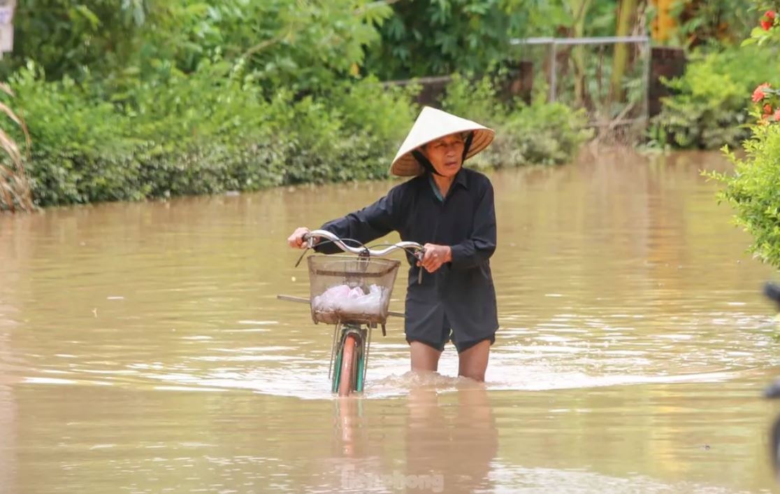 Bao so 1 Bao Wutip anh 2