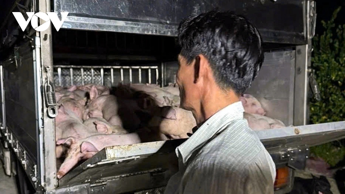 giay chung nhan kiem dich anh 1