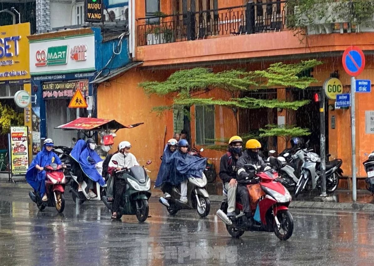 Mua bao Sai Gon TP.HCM anh 1
