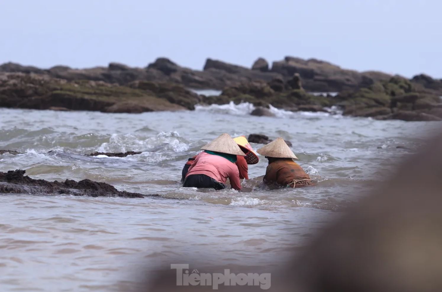 Rong bien nua trieu anh 10