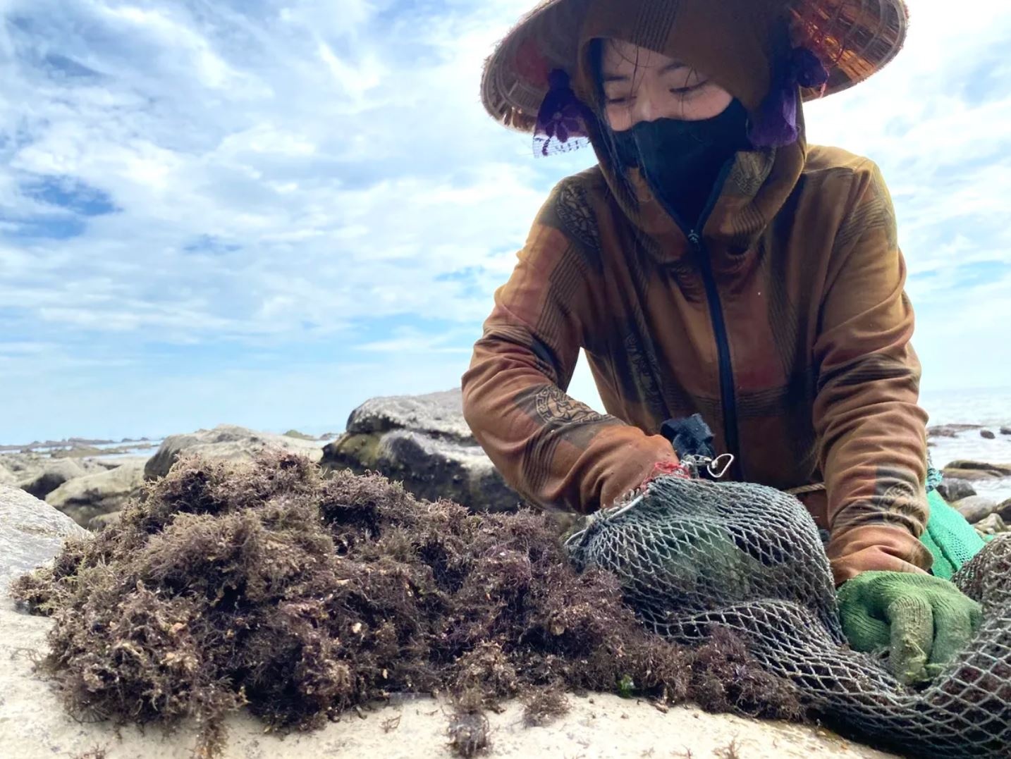 Rong bien nua trieu anh 11