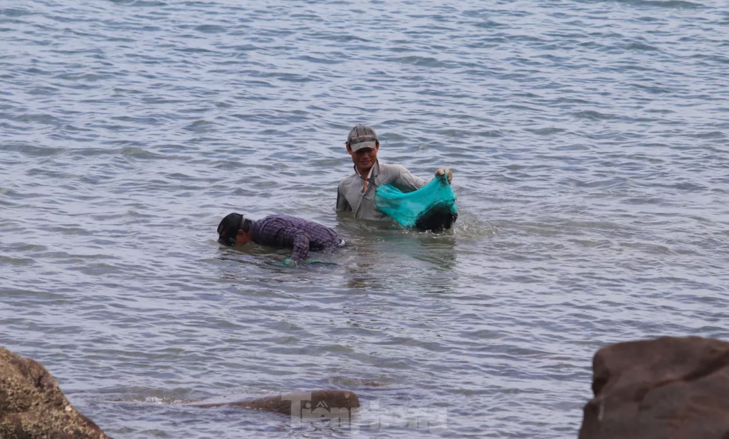 Rong bien nua trieu anh 14