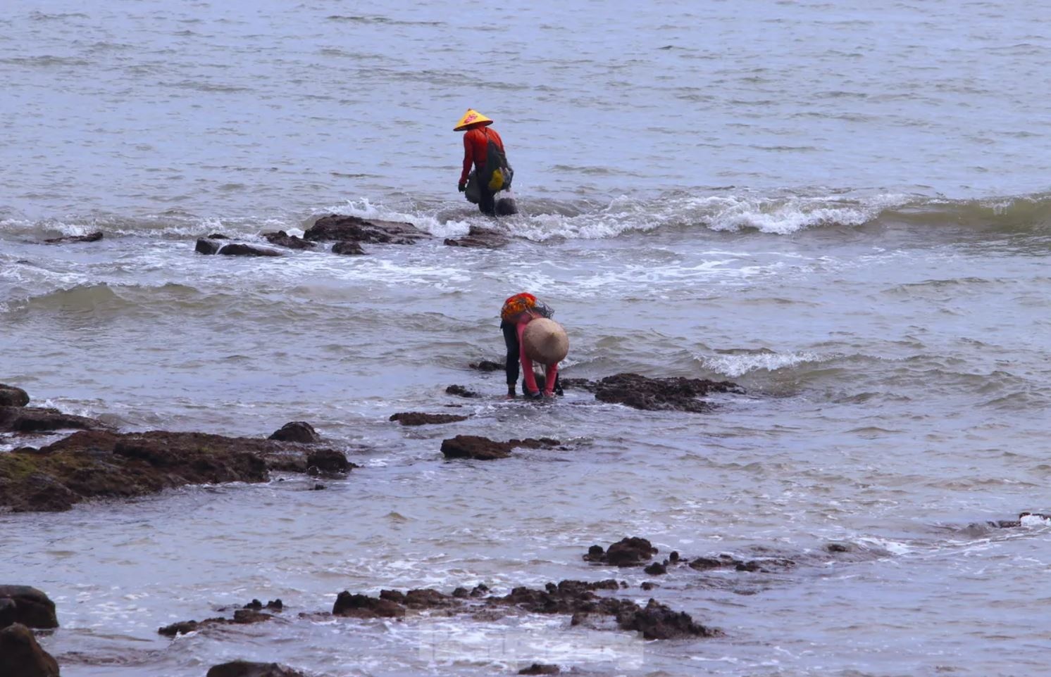 Rong bien nua trieu anh 1