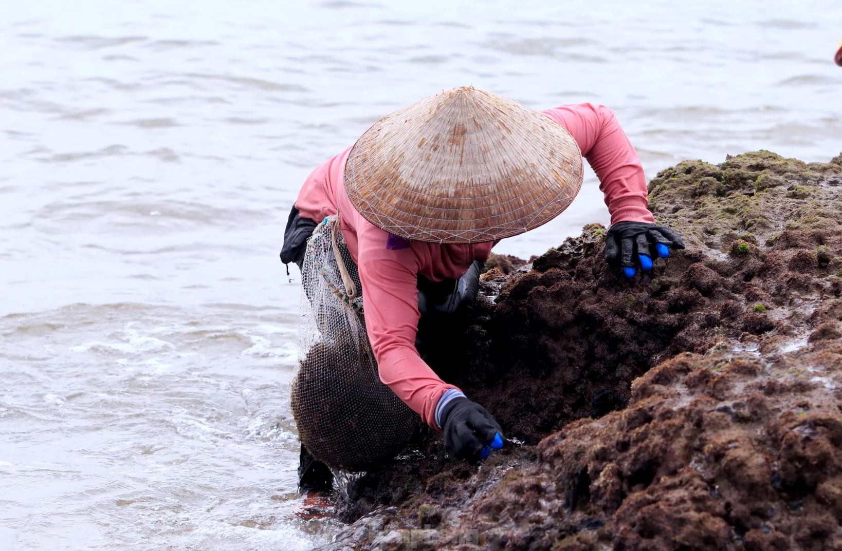 Rong bien nua trieu anh 3