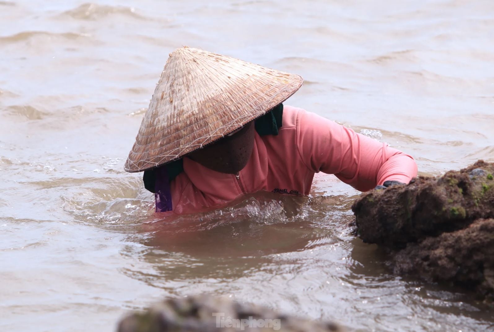 Rong bien nua trieu anh 4