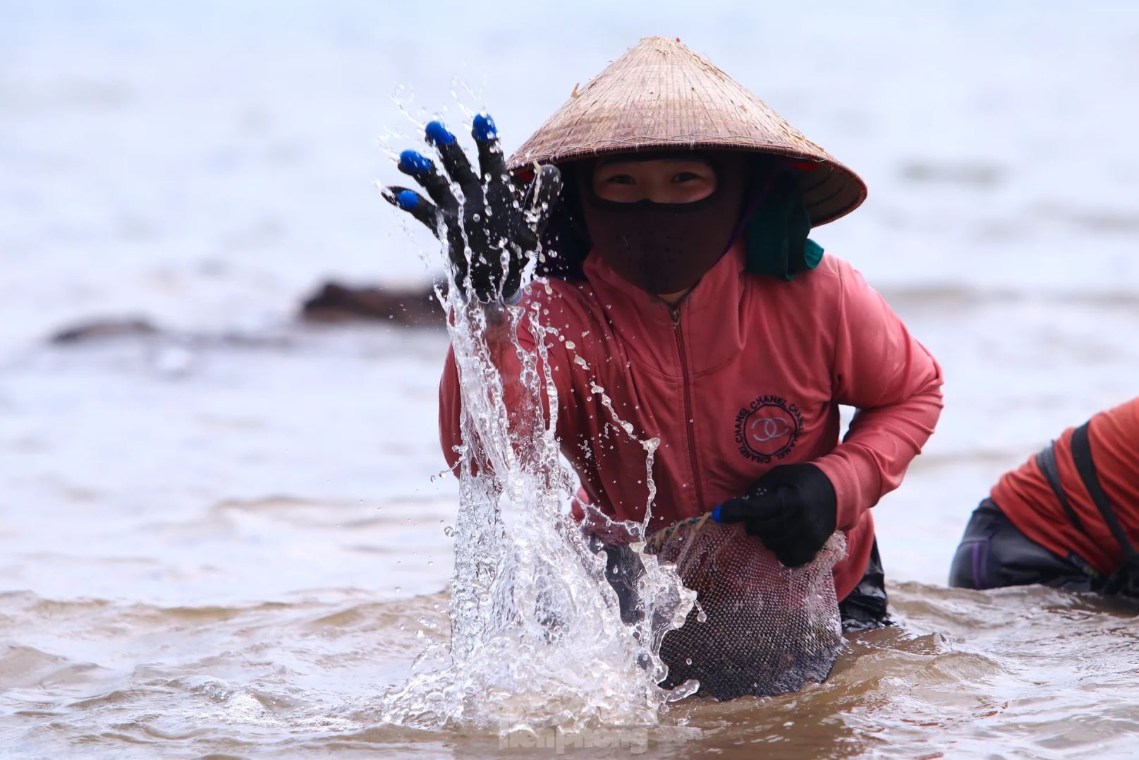 Rong bien nua trieu anh 6