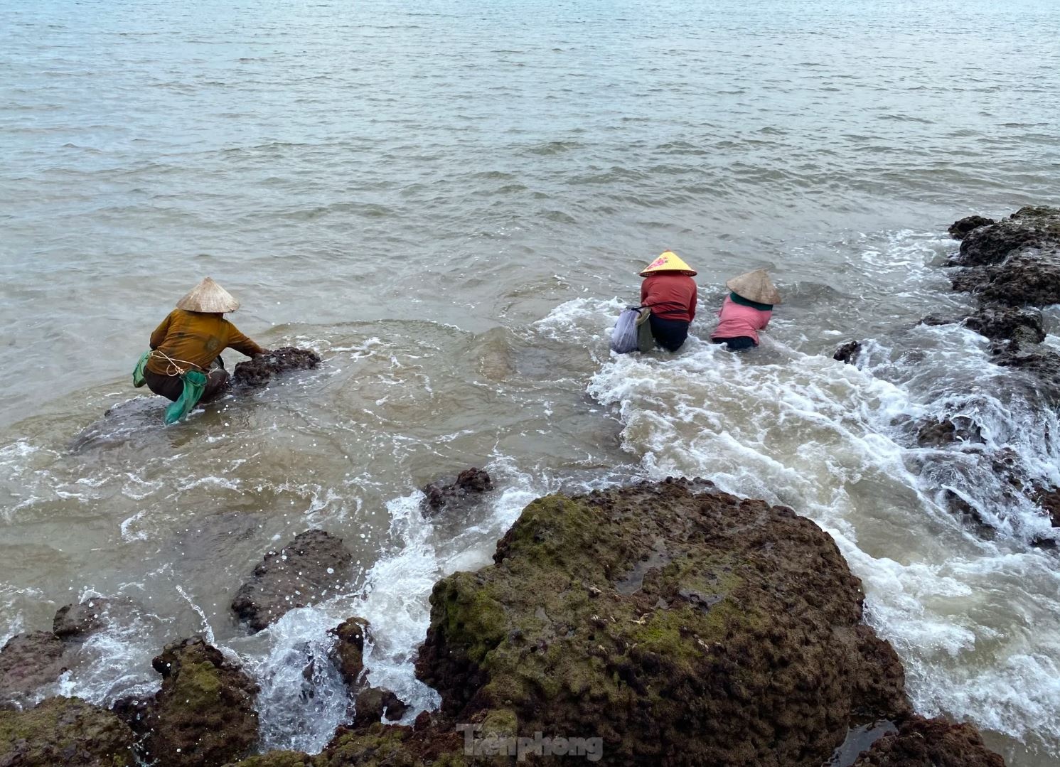 Rong bien nua trieu anh 7