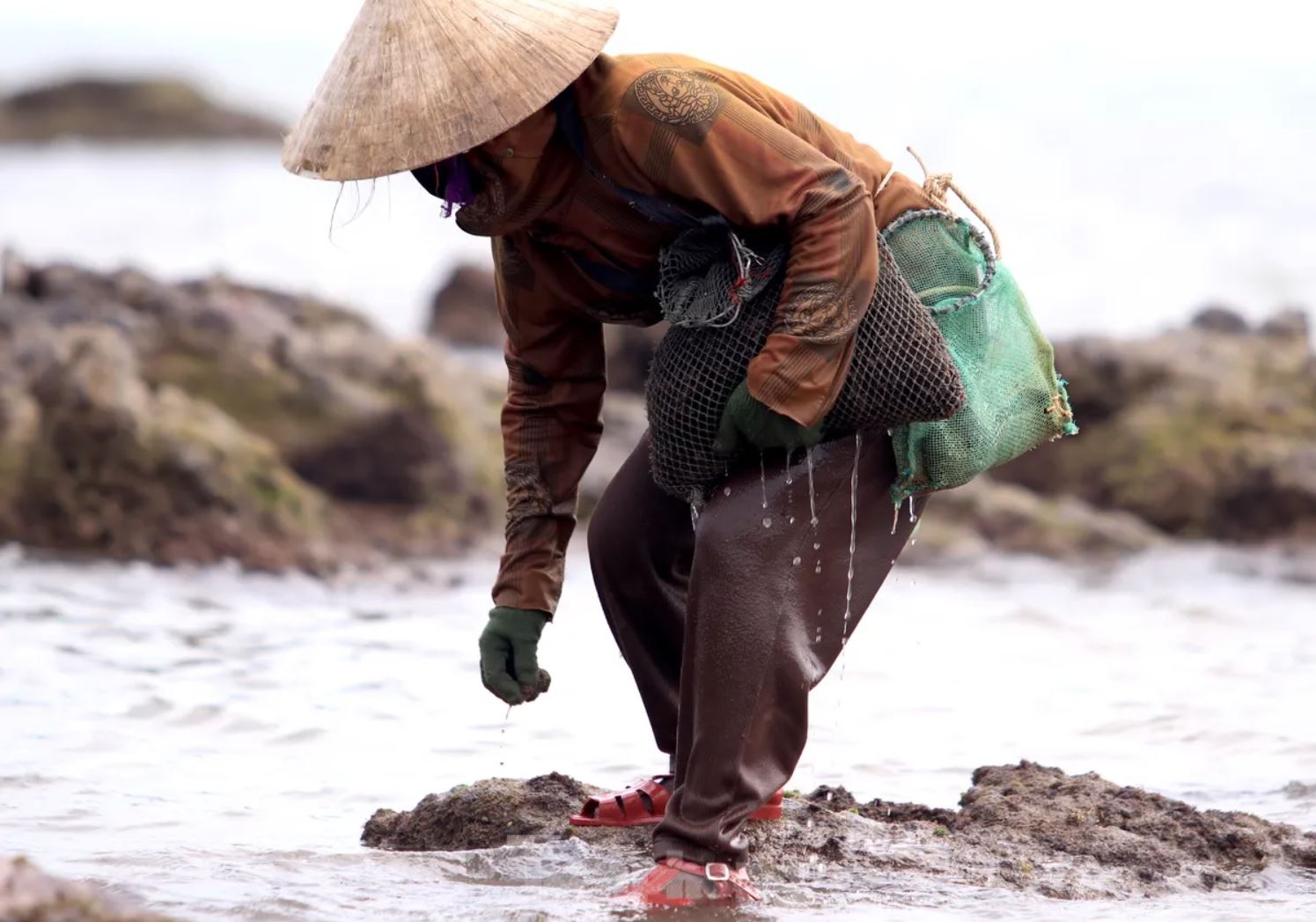 Rong bien nua trieu anh 8