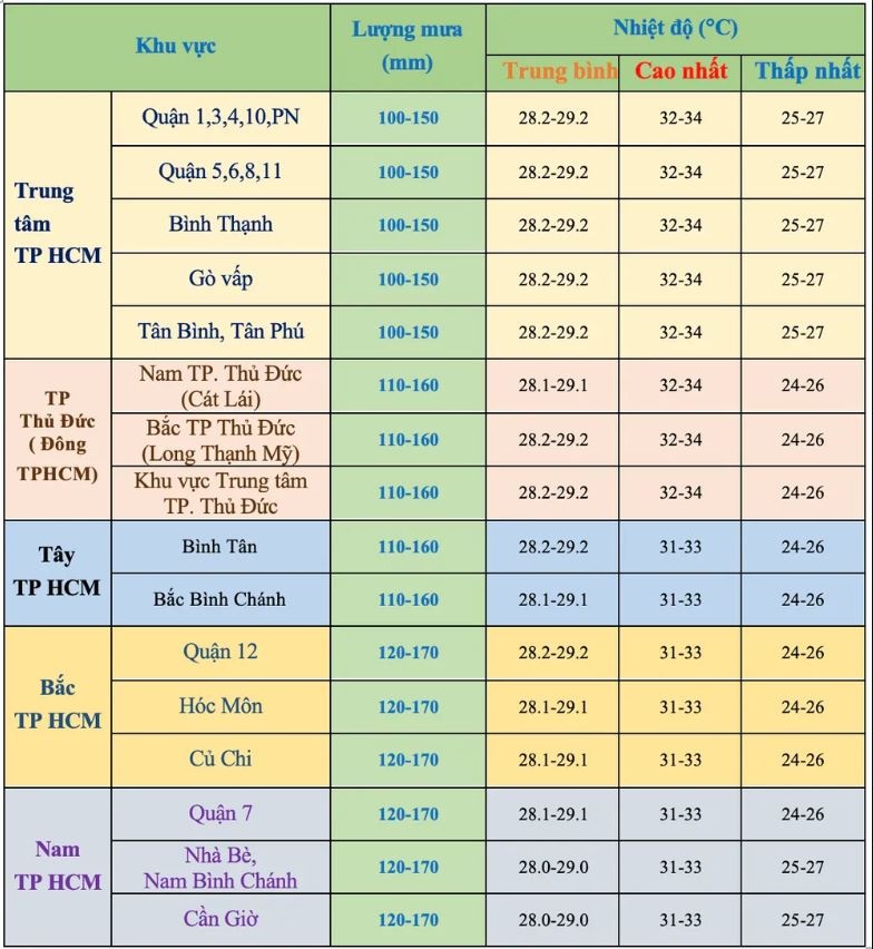 TP.HCM Sai Gon mua dong anh 2