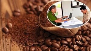 Ca phe Chau Thanh 'chi 9 - 10% la hat ca phe' hinh anh