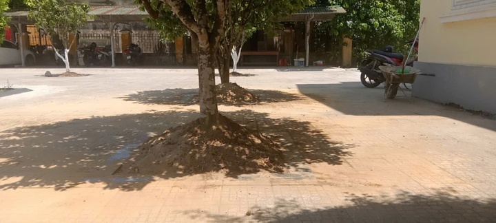 Hoang Mai Hue trong lai anh 2