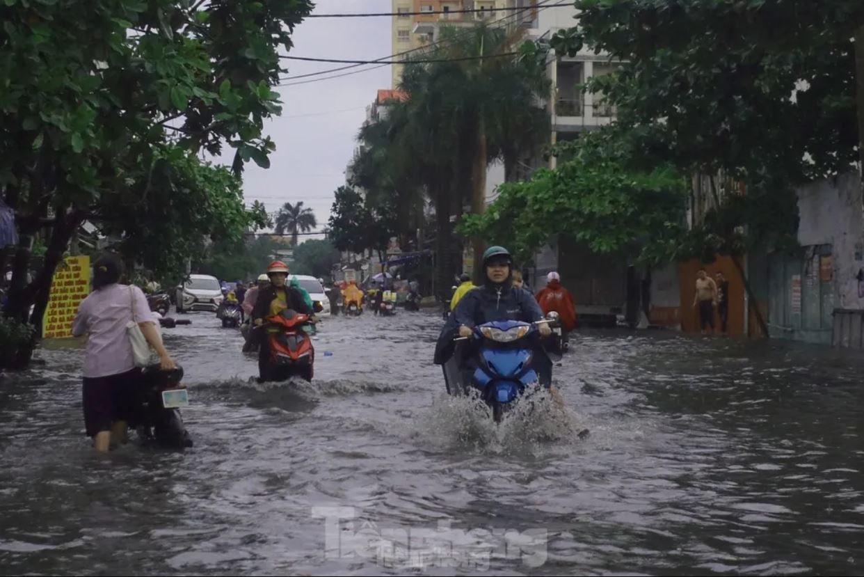 Ap thap nhiet doi anh 2