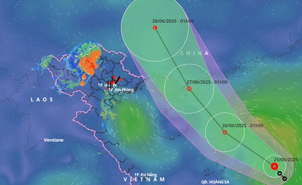 Ap thap nhiet doi lam tang mua o Nam Bo hinh anh