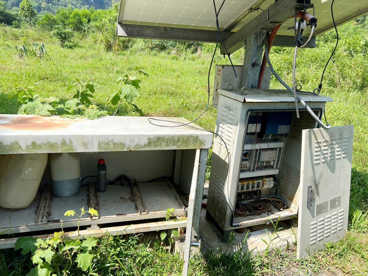 Dien mat troi Quang Binh anh 3