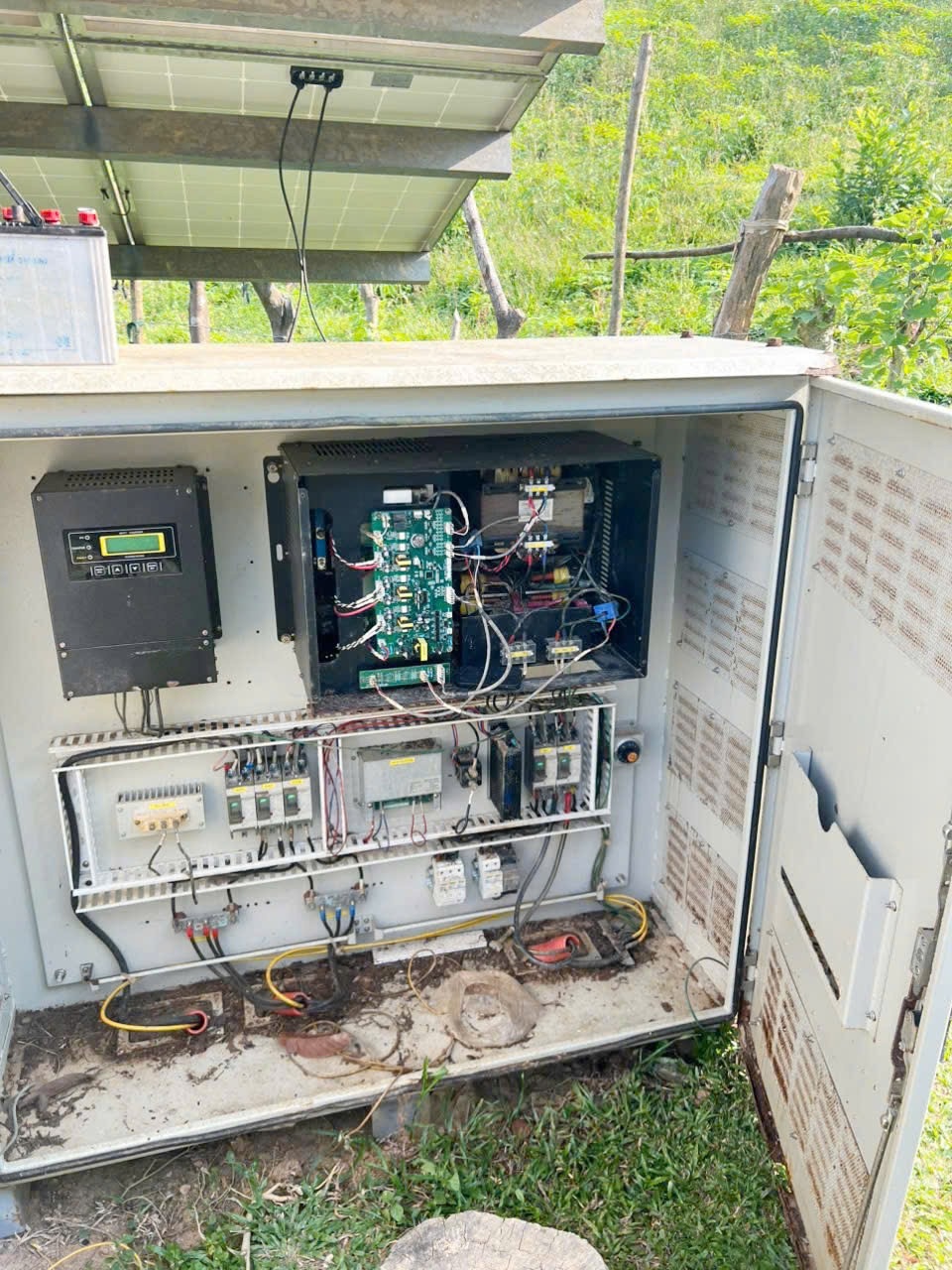 Dien mat troi Quang Binh anh 5