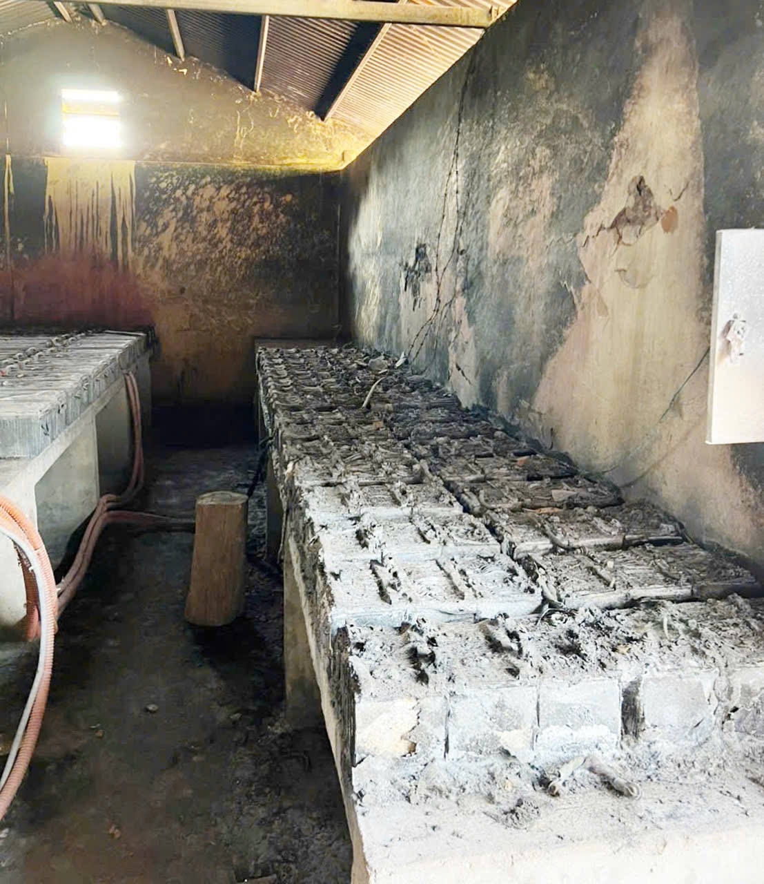 Dien mat troi Quang Binh anh 6