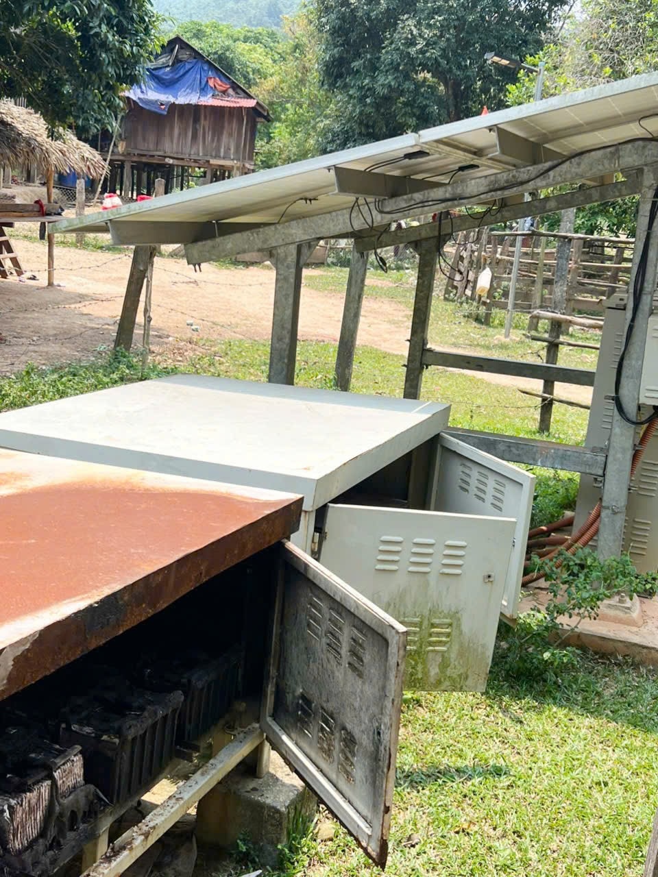 Dien mat troi Quang Binh anh 7