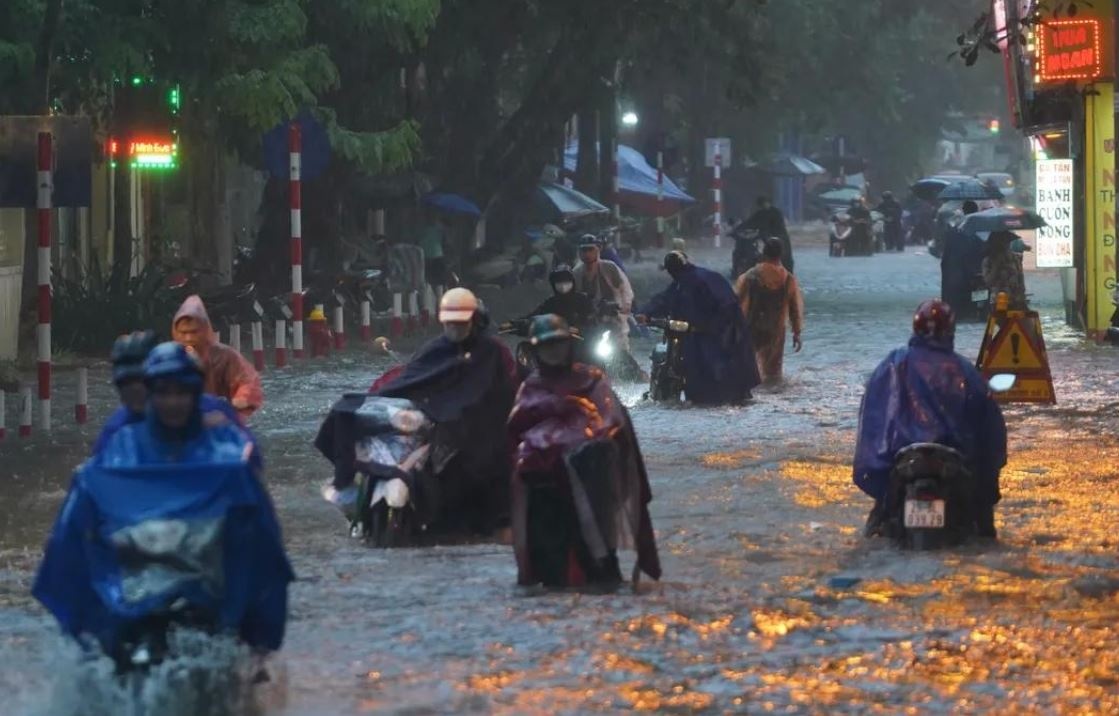 Vi sao mua lon ngay cang du doi o Viet Nam? hinh anh