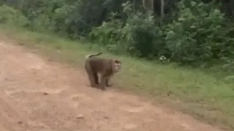 Khi tan cong be gai anh 2