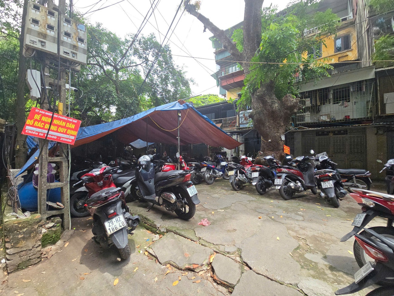 Ha Noi cam xe xang anh 5