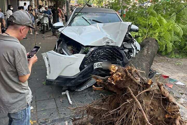 Oto tong loat xe may anh 1