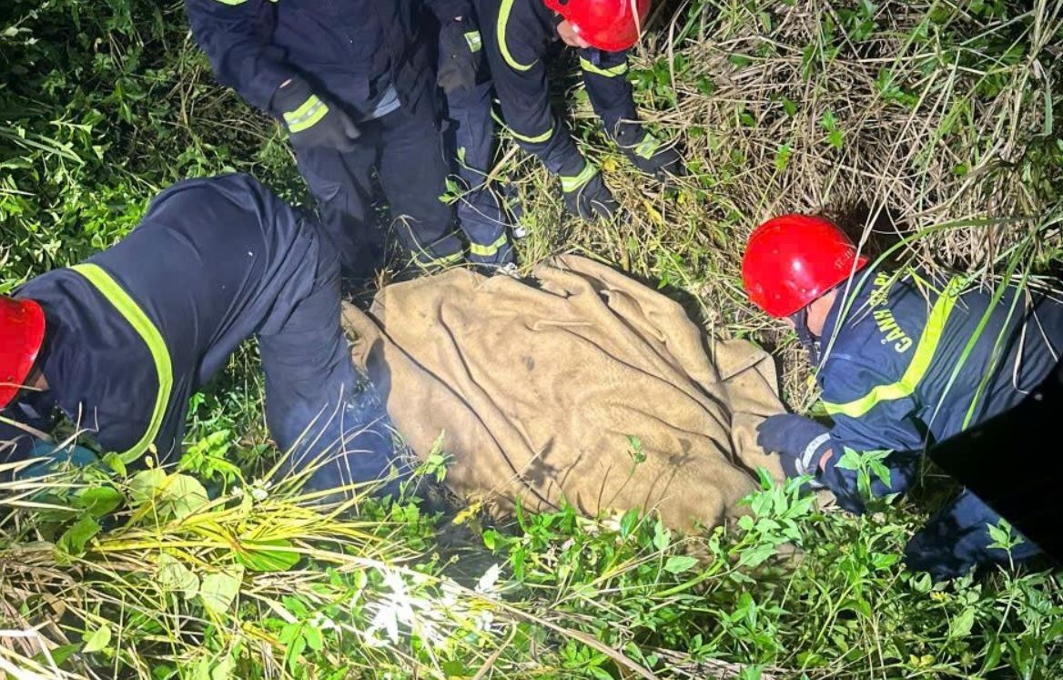 Tin moi vu du khach roi khoi du luon tu vong o Da Nang hinh anh