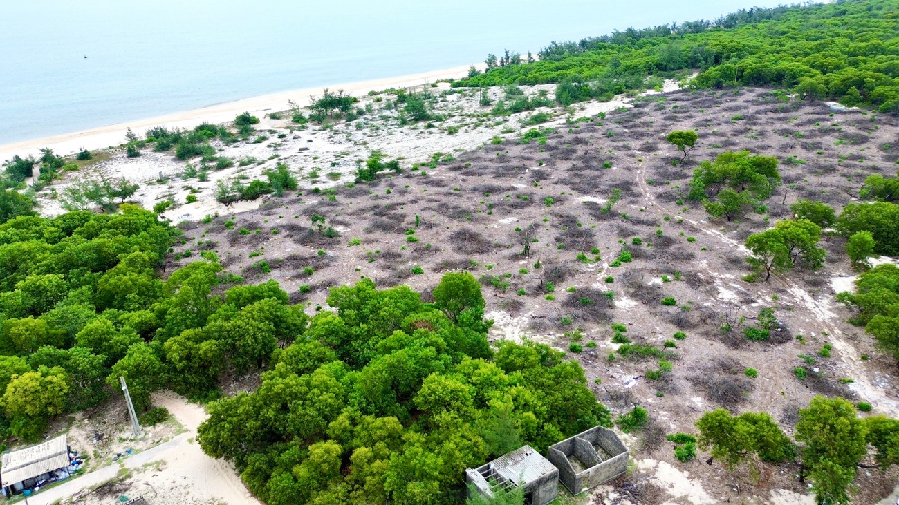 Pha rung phong ho Hue anh 2