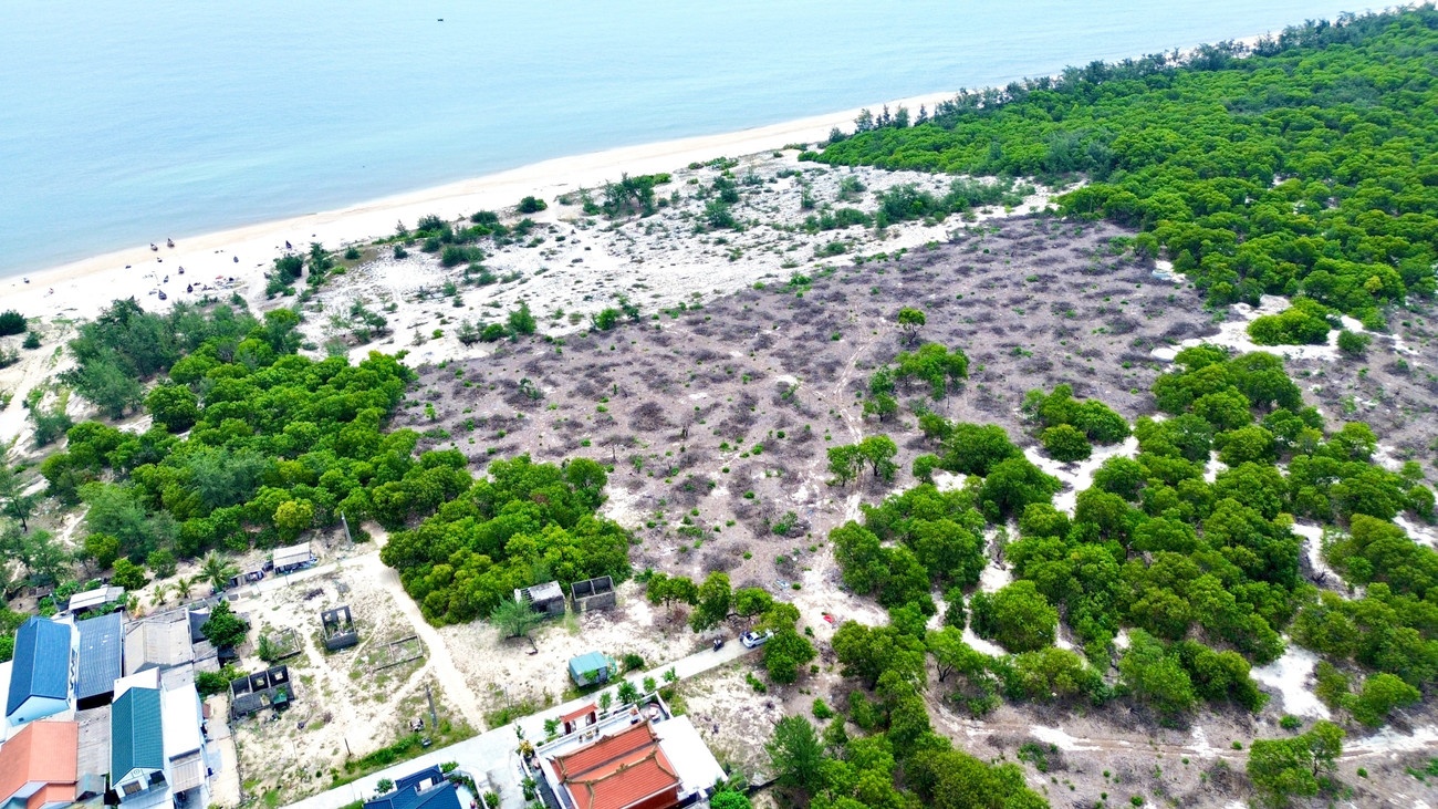 Pha rung phong ho Hue anh 3