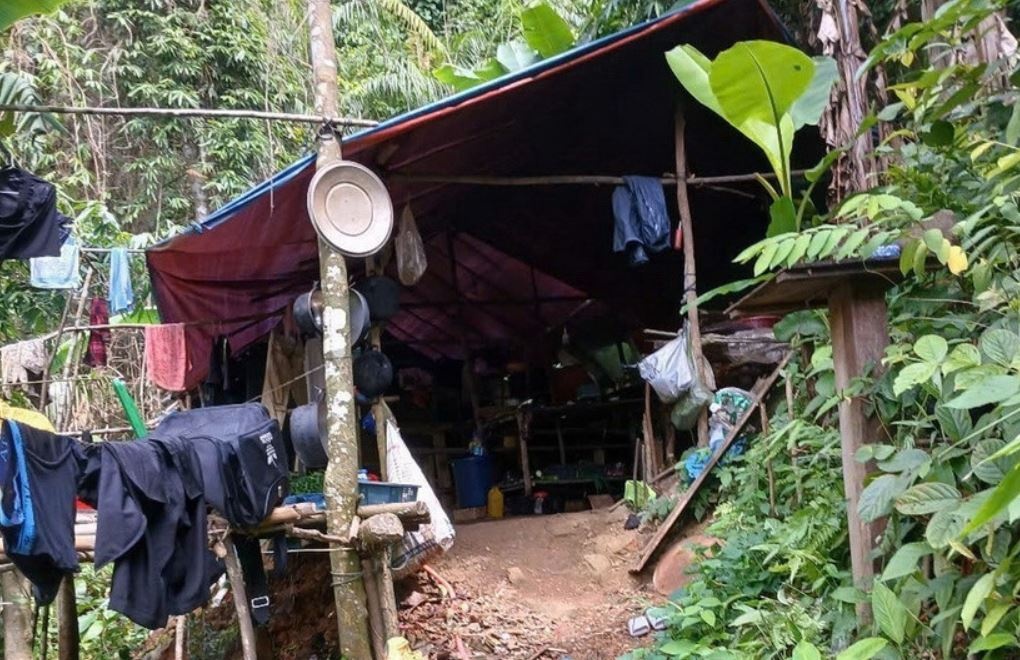 Phat hien lan trai vang tac trong rung phong ho luu vuc song Ben Hai hinh anh