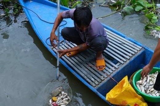 Ca chet trang hang loat tren rach, boc mui hoi thoi hinh anh