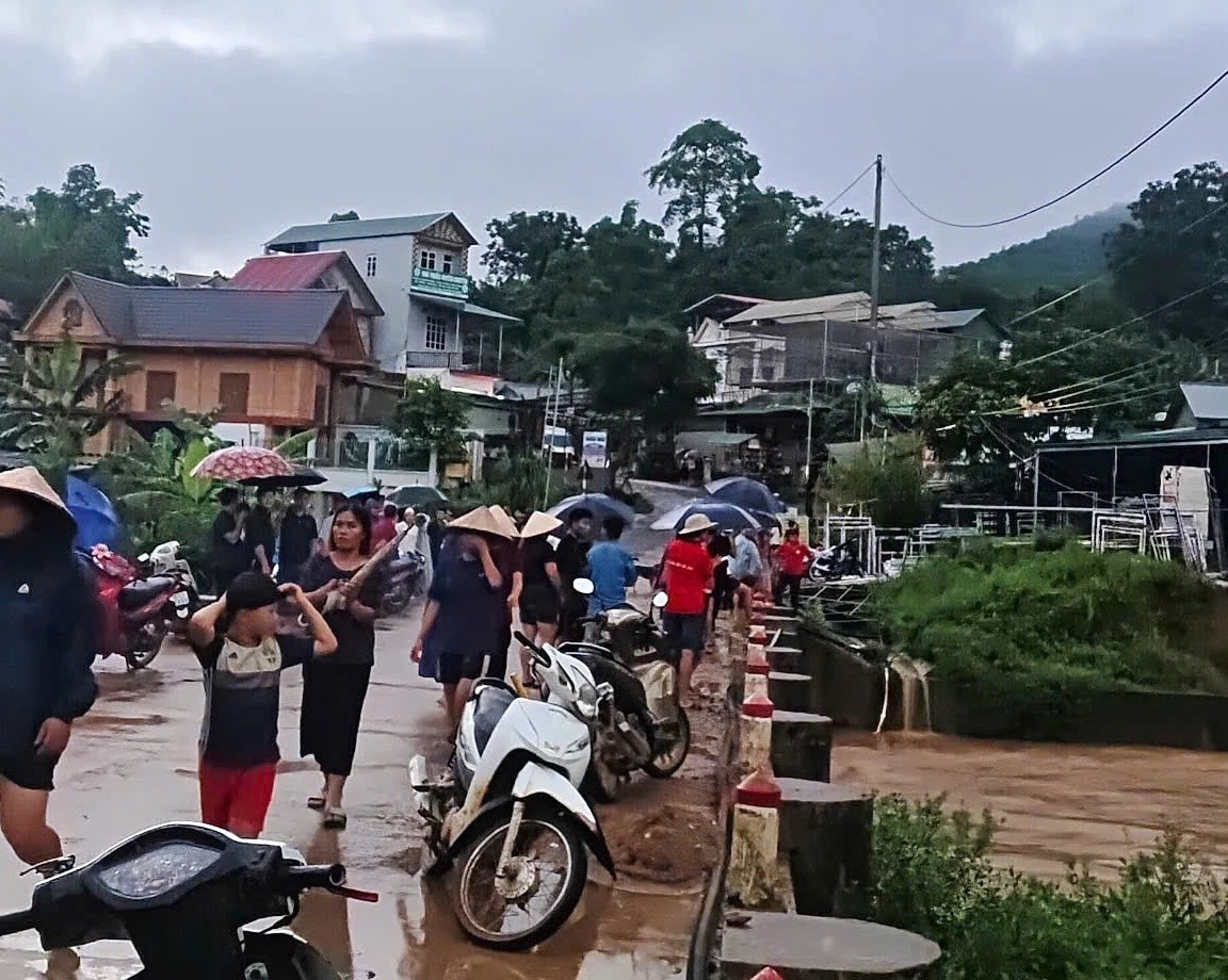 Chan vit bi lu cuon anh 1