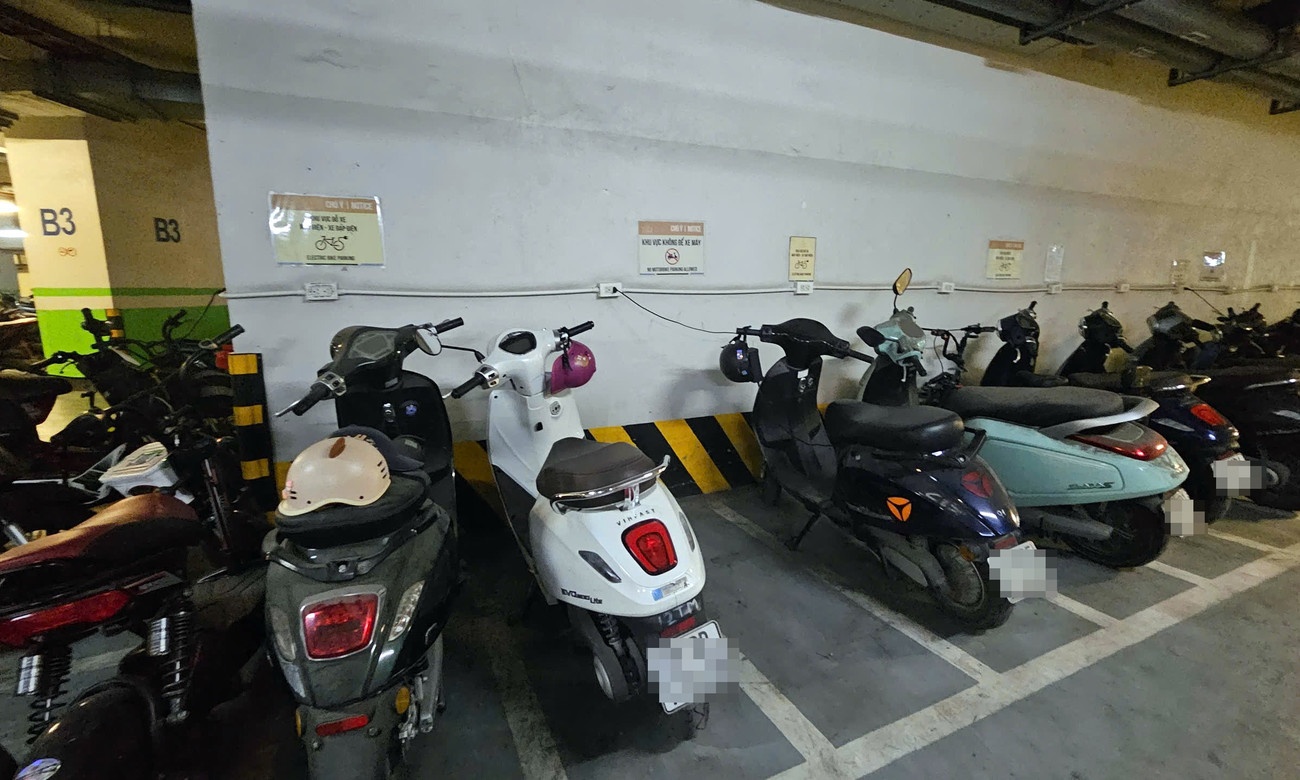 Ha Noi cam xe xang anh 2