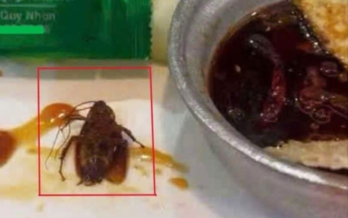 Phat hien gian trong mon an mot nha hang co tieng tai Quy Nhon hinh anh