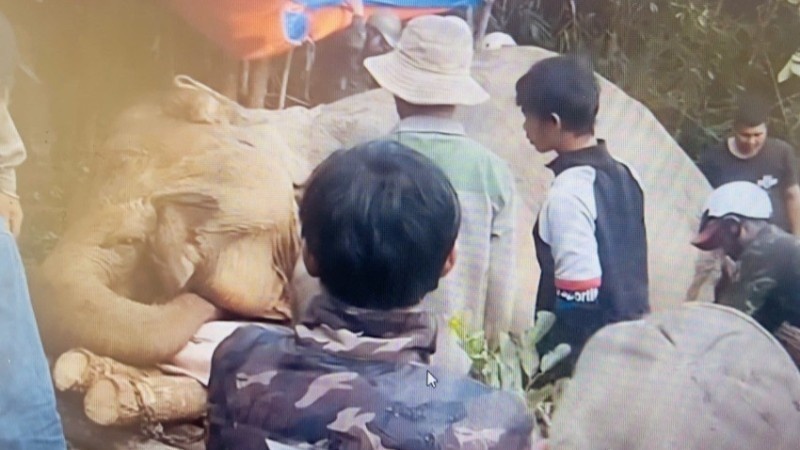Voi nha chet Dak Lak anh 1