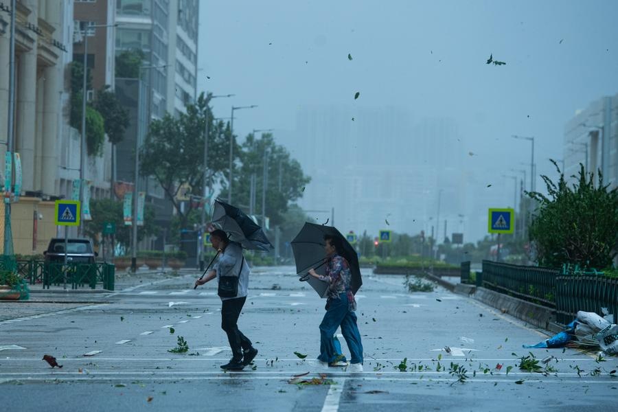 Bao Wipha do bo Trung Quoc, hang tram nghin nguoi phai so tan hinh anh