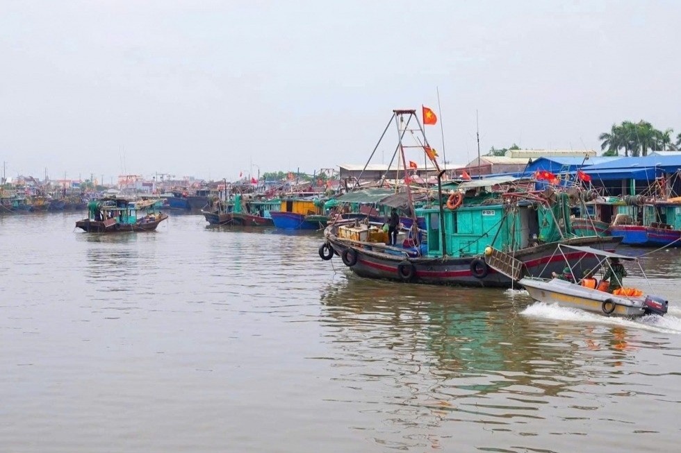 Hai Phong cam bien, keu goi, sap xep phuong tien vao noi tranh tru hinh anh