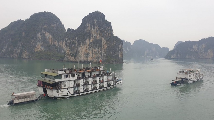 Tam dung cap phep tau cho khach ra Vinh Ha Long hinh anh