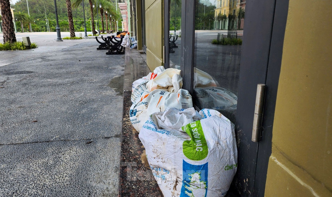 Bao so 3 WIPHA anh 10