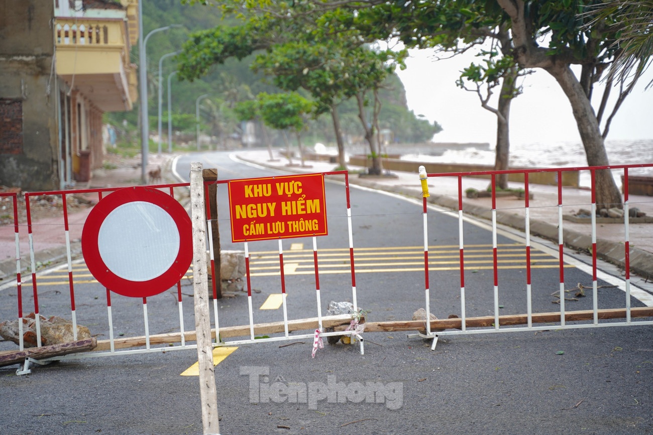 Bao so 3 WIPHA anh 11