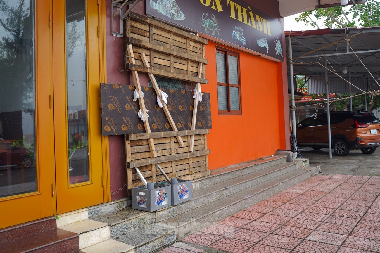 Bao so 3 WIPHA anh 15