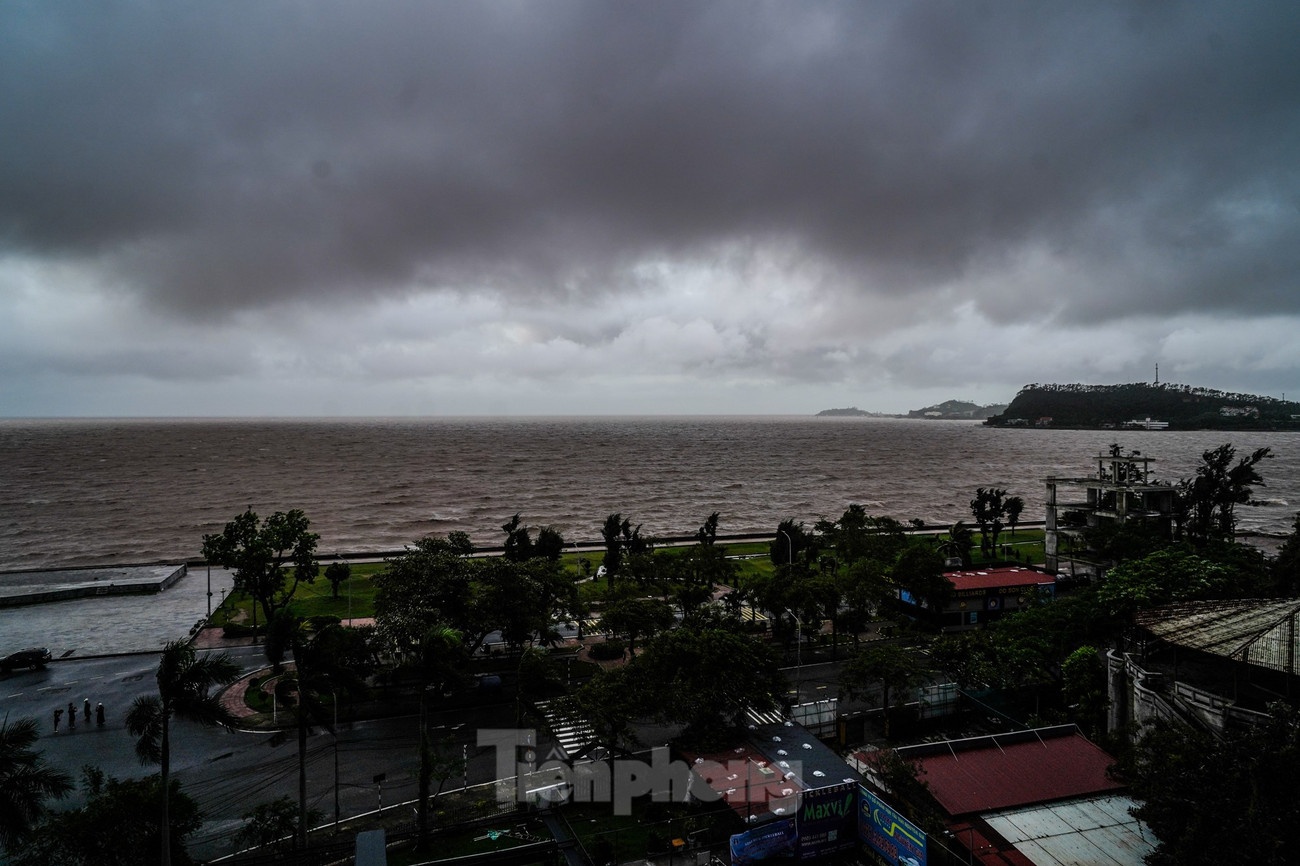 Bao so 3 WIPHA anh 1