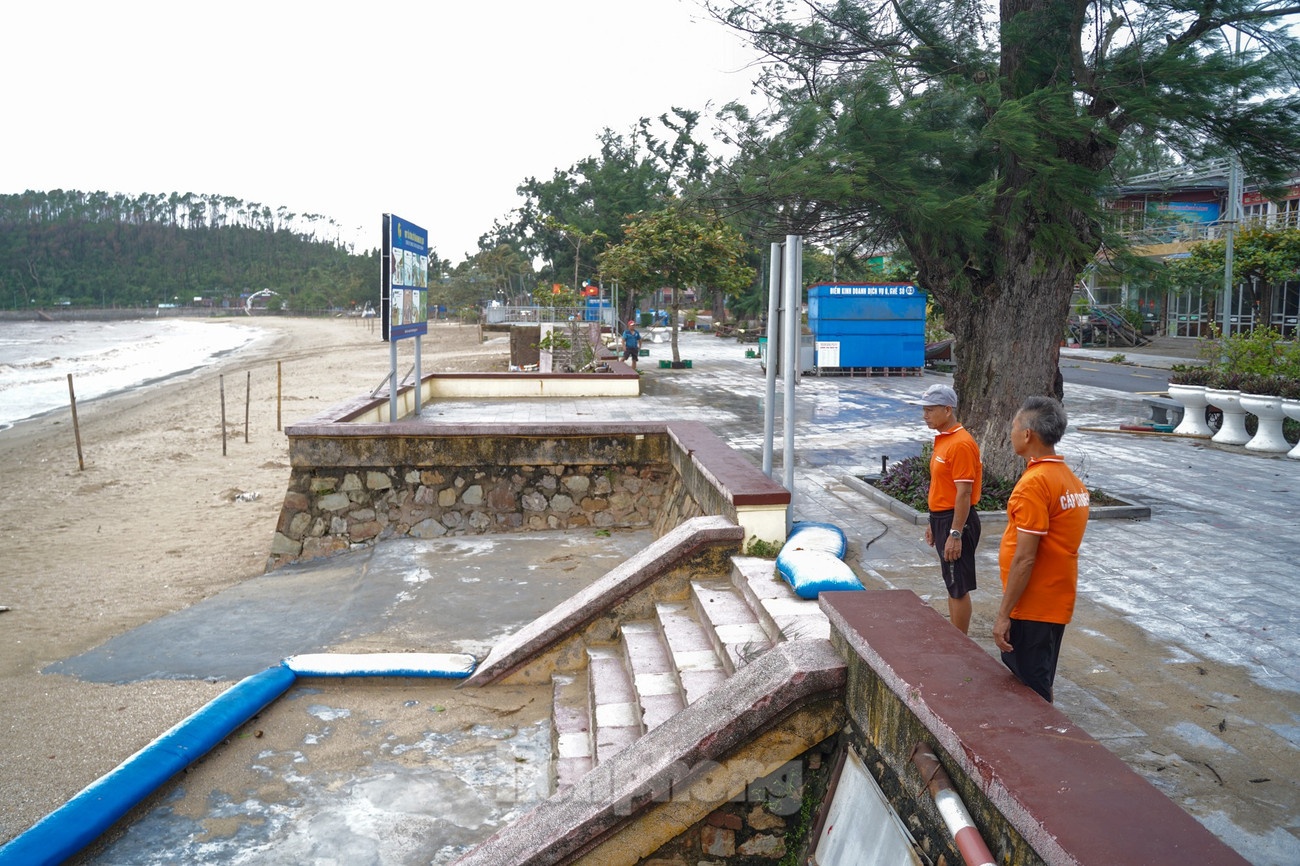 Bao so 3 WIPHA anh 20